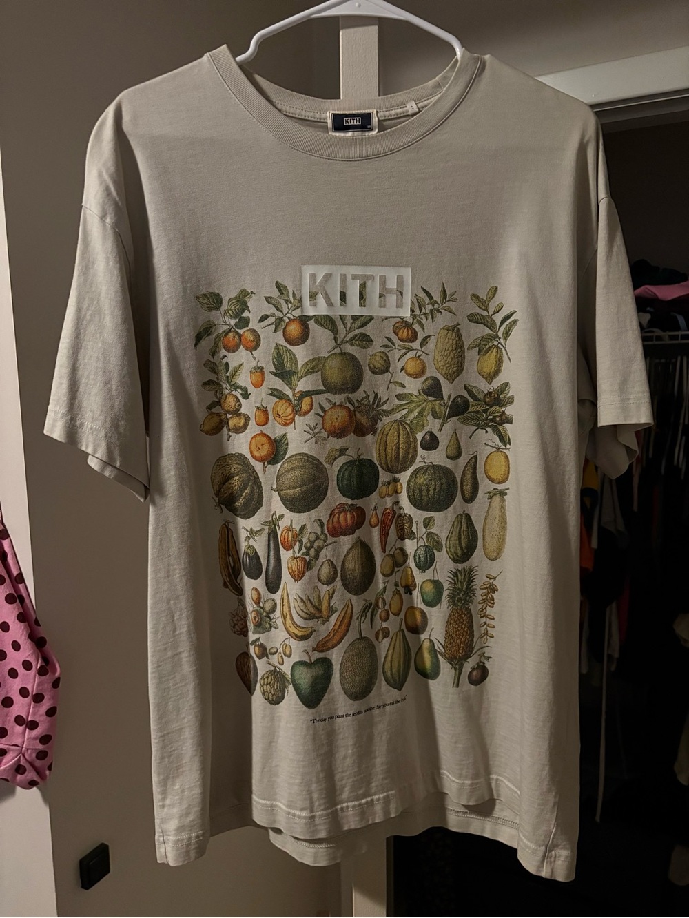 Kith Cream Short-Sleeve Fruit Botanical Graphic Tee